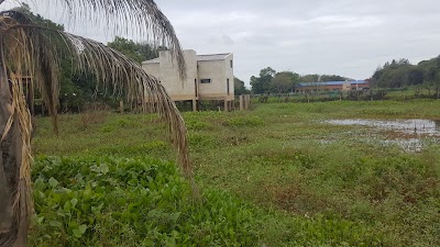Photos of HORSESHOE POINT BEACH