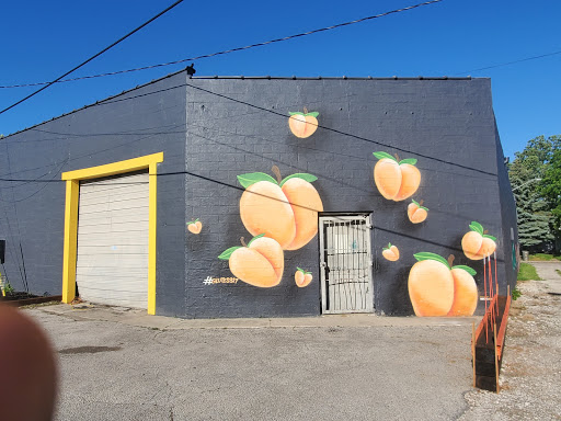 Discount Tobacco, 1702 Southeastern Ave, Indianapolis, IN 46201, USA, 