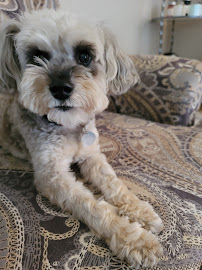 Fido and Friends - Photo 3 - Car repair in , Houston