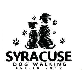 Syracuse Dog Walking
