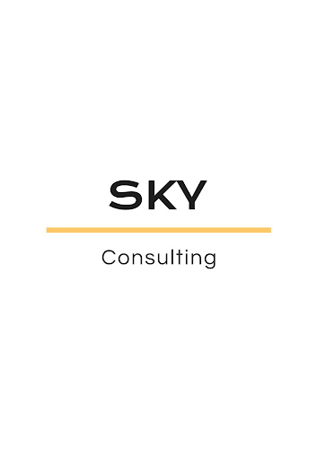 Sky consulting à Paris