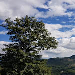 Photo n°2 de l'avis de Manuela.a fait le 08/09/2017 à 07:08 sur le  Ristorante Lo Sceriffo à Pizzoferrato