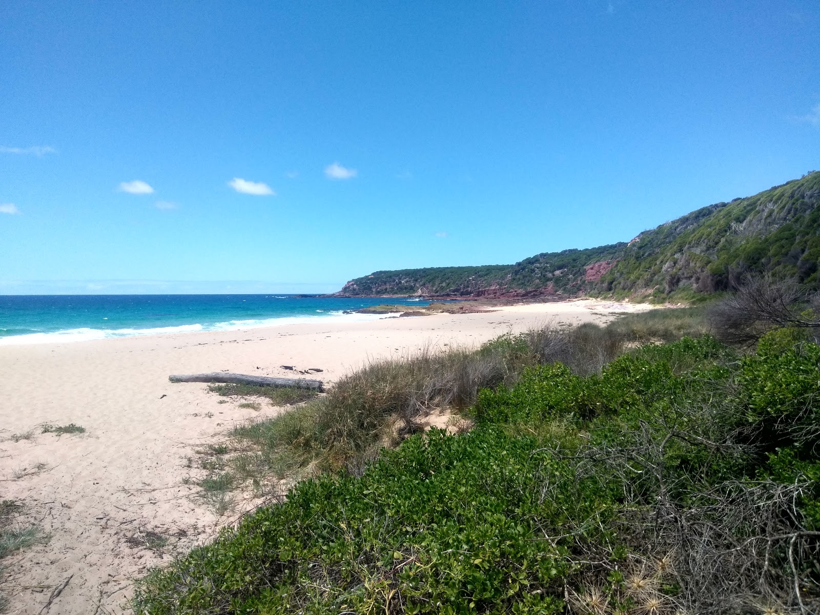 Foto di Middle Beach con una superficie del sabbia beige
