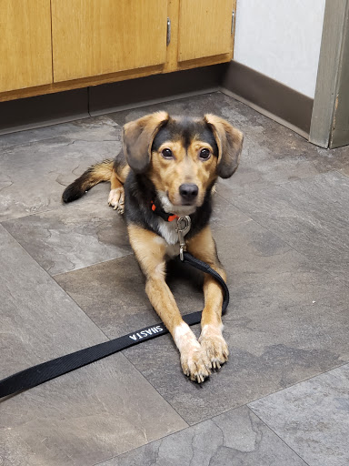 1636 OH-39, Dover, OH 44622, USA