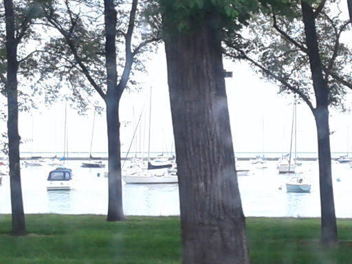 Fountain «Buckingham Fountain», reviews and photos, 301 S Columbus Dr, Chicago, IL 60605, USA
