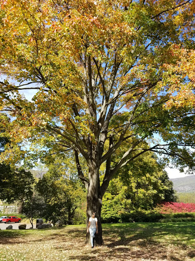 Museum «West Point Museum», reviews and photos, 2110 New South Post Rd, West Point, NY 10996, USA