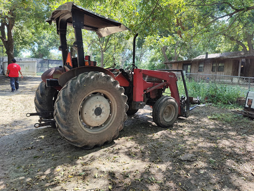 Wildlife Rescue Service «In-Sync Exotics», reviews and photos, 3430 Skyview Dr, Wylie, TX 75098, USA