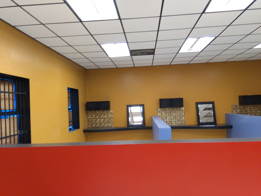 Explore 3 cat tattoo ideas, creative tattoo ideas in Lafayette, available at Ink Gallery Tattoos