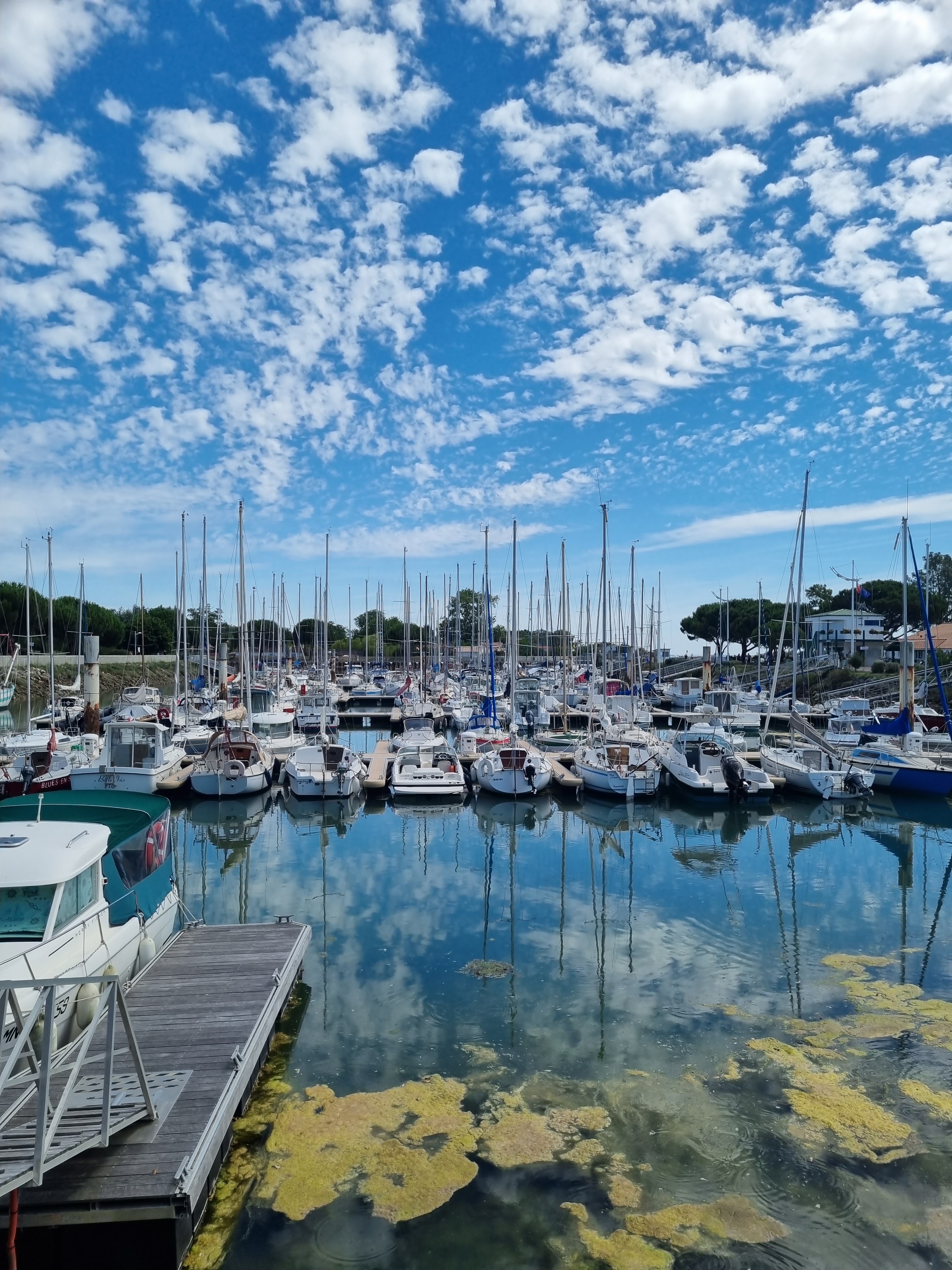 Photo n° 2 de l'avis de AJ.r fait le 13/07/2022 à 14:52