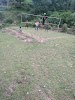 Pipalchaur Higher Secondary School, Thanti Logo, Nepal, School