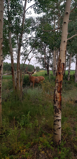 Golf Club «The Club at Cordillera - Summit Course», reviews and photos, 190 Gore Trail, Edwards, CO 81632, USA