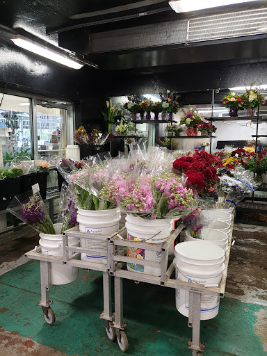 Dried flower shop Richmond