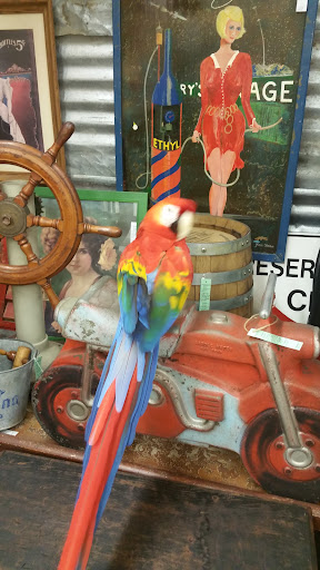 Pet Supply Store «PetSmart», reviews and photos, 33963 Doheny Park Rd, San Juan Capistrano, CA 92675, USA