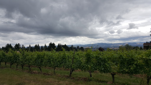 Vineyard «Cooper Mountain Vineyards», reviews and photos, 20121 SW Leonardo Ln, Beaverton, OR 97007, USA