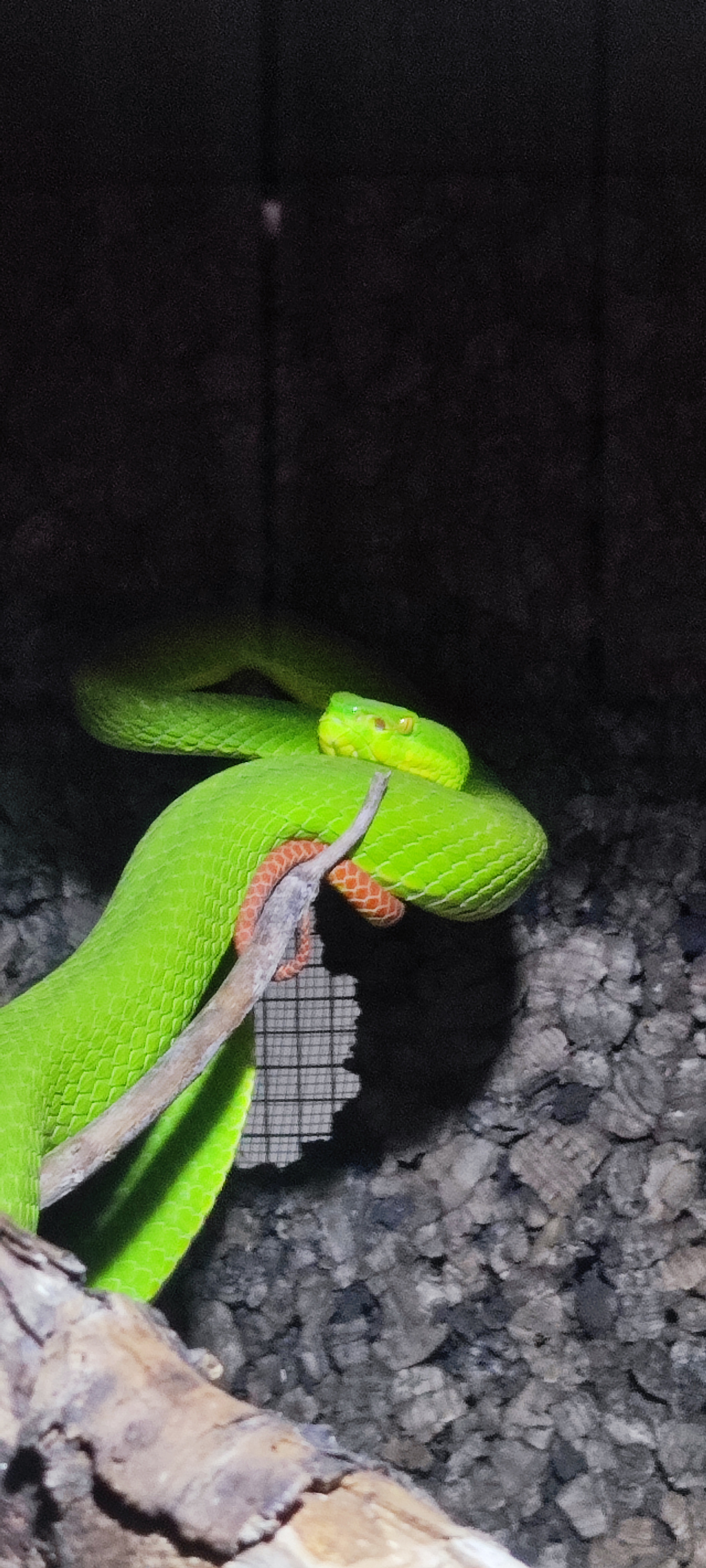 Photo n° 11 de l'avis de Léa.a fait le 07/09/2023 à 11:37