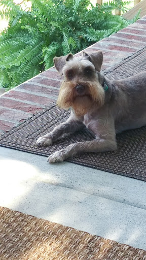 Pet Supply Store «Pet Supplies Plus», reviews and photos, 319 N Berkeley Blvd, Goldsboro, NC 27534, USA