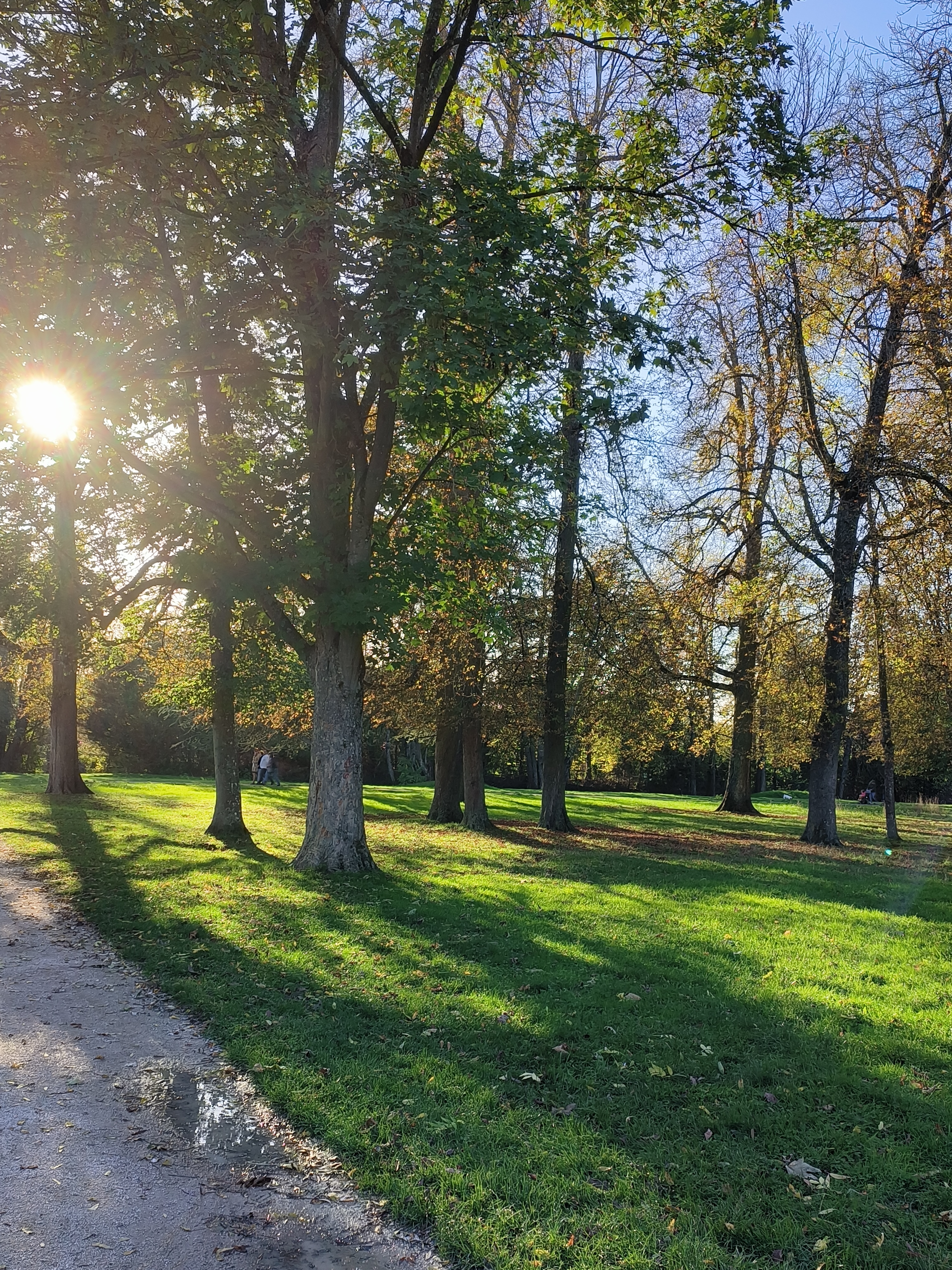 Photo n° 2 de l'avis de Kamilla.a fait le 03/11/2022 à 12:02