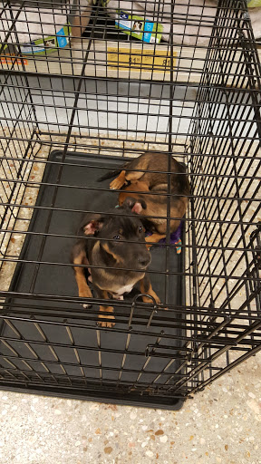 Pet Supply Store «PetSmart», reviews and photos, 45 Park Pl Dr, Covington, LA 70433, USA