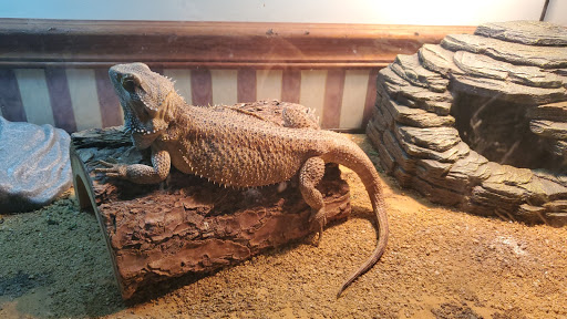 Pet Supply Store «Pet Supplies Plus», reviews and photos, 319 N Berkeley Blvd, Goldsboro, NC 27534, USA