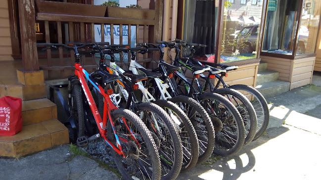 Opiniones de Pedaleo Puerto Varas en Puerto Varas - Tienda de bicicletas
