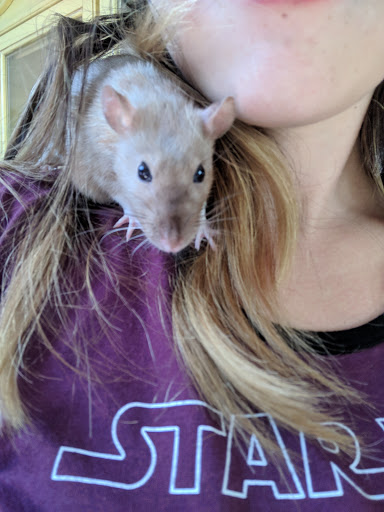 Pet Store «Village Pets», reviews and photos, 8522 Madison Ave, Fair Oaks, CA 95628, USA