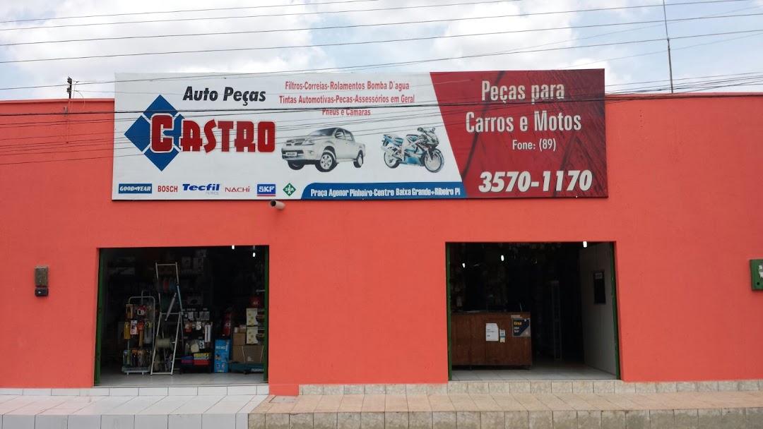 Auto Pecas Castro