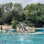 Photo n° 4 de l'avis de Louison.a fait le 02/10/2022 à 20:43 pour Planète Sauvage à Port-Saint-Père