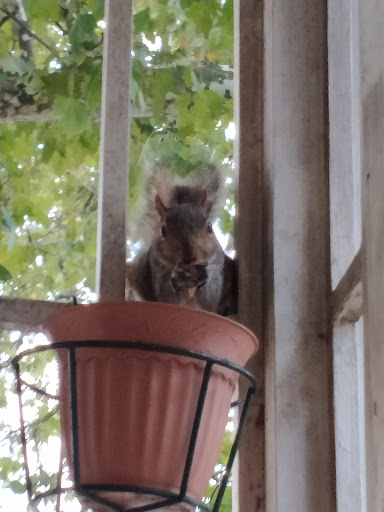 Discount Store «Walmart», reviews and photos, 280 Woodward Dr, Westminster, MD 21157, USA