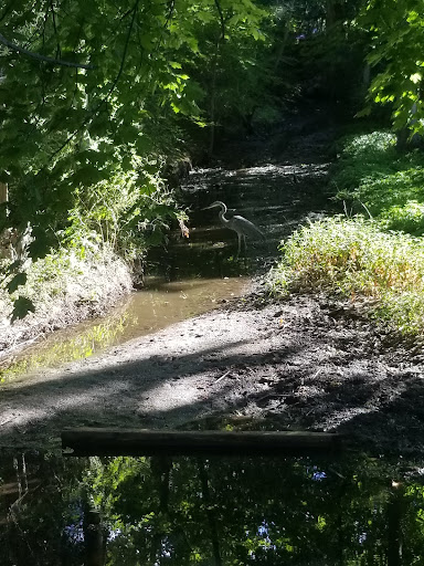 Nature Preserve «The Celery Farm», reviews and photos, Franklin Turnpike, Allendale, NJ 07401, USA
