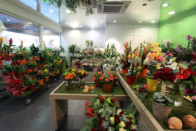 Le Jardin des Fleurs à Tourcoing
