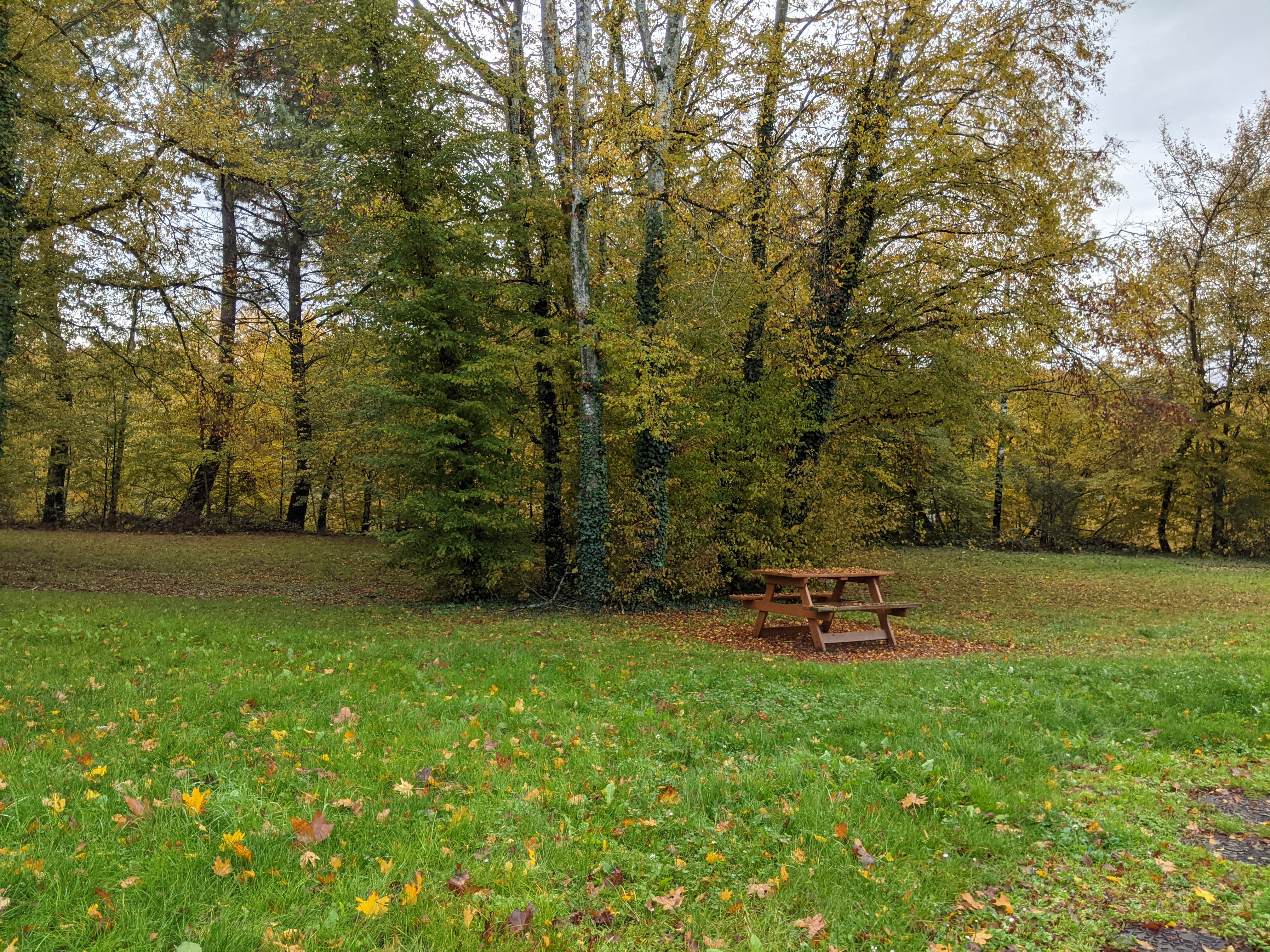 Photo n° 1 de l'avis de Marcin. fait le 31/10/2021 à 10:06