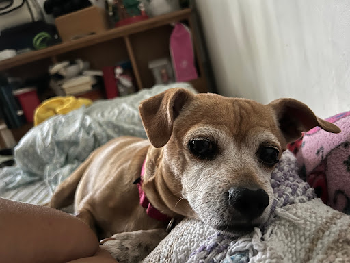 615 W Foothill Blvd, Glendora, CA 91741, USA