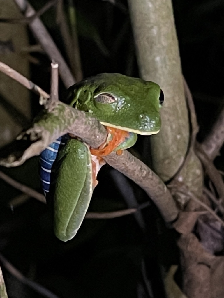 Photo n° 6 de l'avis de Hervé.a fait le 08/02/2022 à 22:24