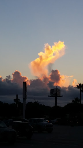 Grocery Store «Kroger», reviews and photos, 220 South Loop 336 W, Conroe, TX 77304, USA