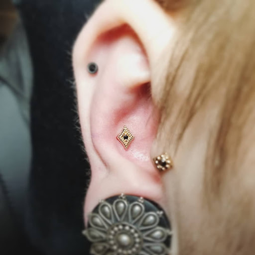 Body Piercing Shop «Skin Gallery Tattooing & Body Piercing», reviews and photos, 1402 Ogden Ave, Downers Grove, IL 60515, USA