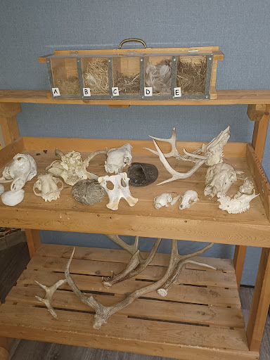 Tourist Attraction «Caesar Creek Visitor Center», reviews and photos, 4020 N Clarksville Rd, Waynesville, OH 45068, USA