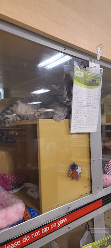 Pet Supply Store «PetSmart», reviews and photos, 5857 NJ-42, Turnersville, NJ 08012, USA