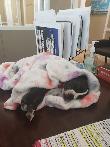 Insurance Agency «GreatFlorida Insurance - Jeannie Evans», reviews and photos