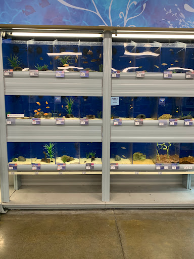 Pet Supply Store «PetSmart», reviews and photos, 15555 E 14th St, San Leandro, CA 94578, USA