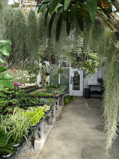 Orchid Grower «Orchid Dynasty», reviews and photos, 959 900 S, Salt Lake City, UT 84105, USA