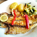 Photo n°4 de l'avis de Eugenia.a fait le 03/12/2020 à 14:01 sur le  Maximus à Vila Nova de Gaia