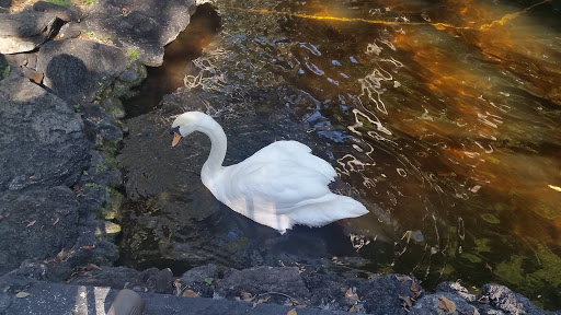 Luxury Hotel «Bonaventure Resort & Spa», reviews and photos, 250 Racquet Club Rd, Weston, FL 33326, USA