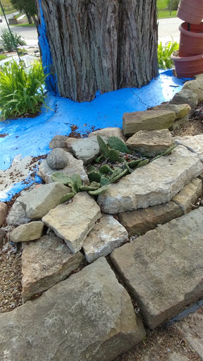 Park «East Palestine City Park», reviews and photos