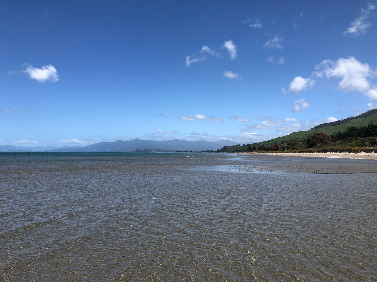 Pakawau Beach'in fotoğrafı düz ve uzun ile birlikte