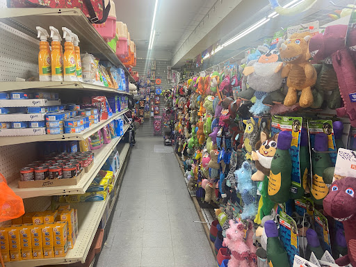 Discount Store «99 Cent Store», reviews and photos, 6108 Springfield Blvd, Flushing, NY 11364, USA