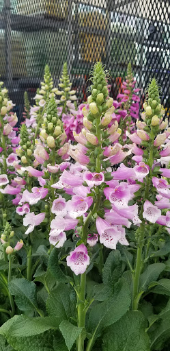 Grocery Store «Stop & Shop», reviews and photos, 575 Greenwich Ave, Warwick, RI 02886, USA