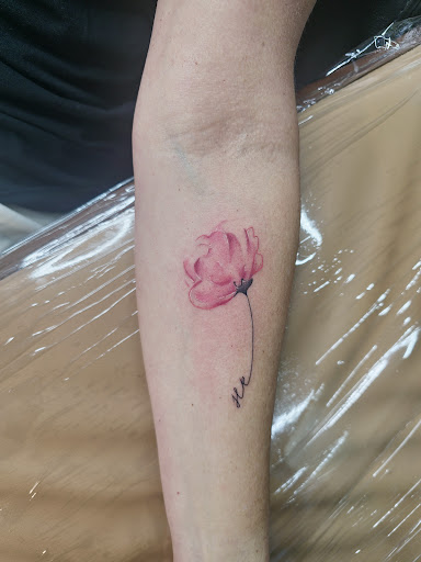 Explore sticker sleeve tattoo ideas, creative tattoo ideas in San Diego, available at Goddess Temple Tattoo Studio