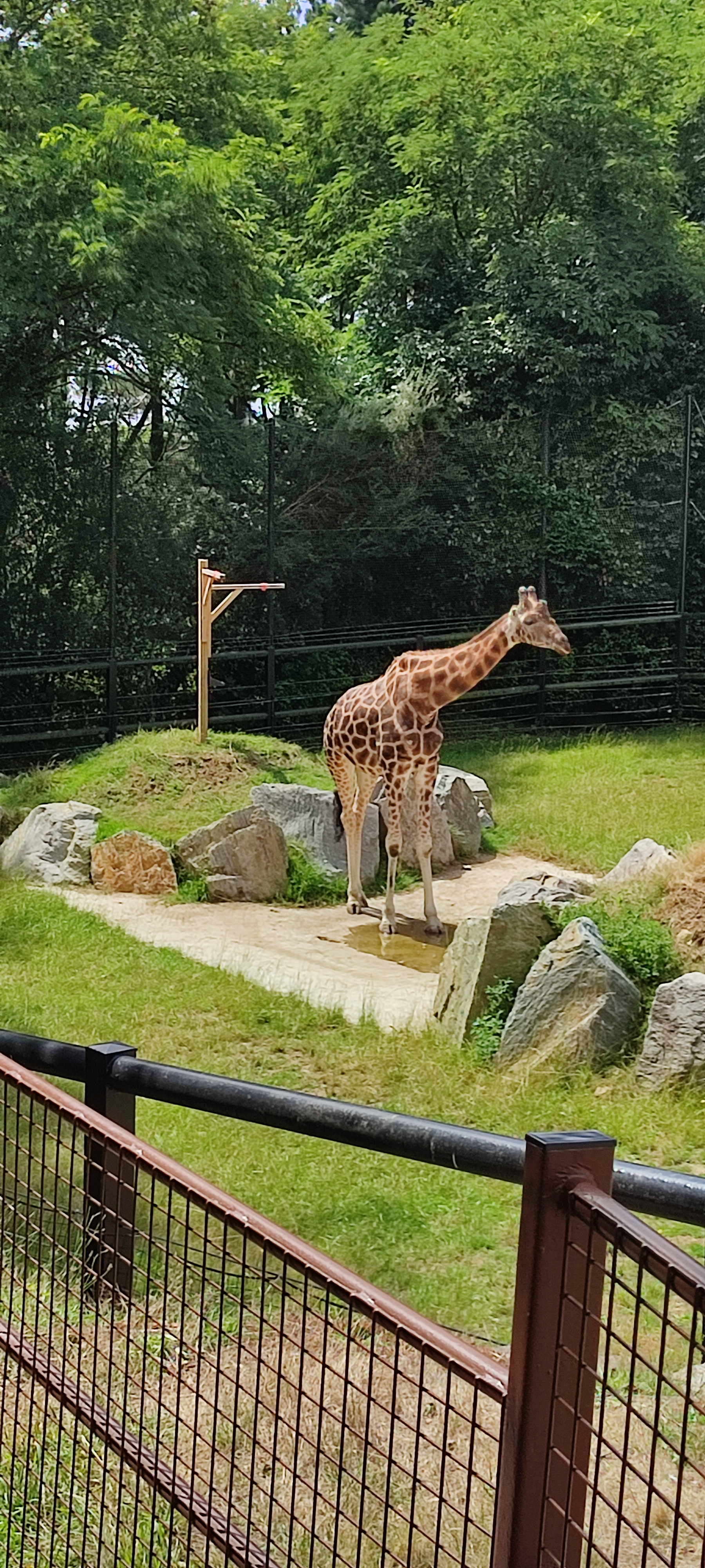 Photo n° 14 de l'avis de Jérémy.a fait le 22/07/2023 à 17:03