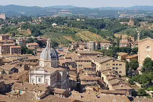 Insigne Collegiata di Santa Maria in Provenzano image