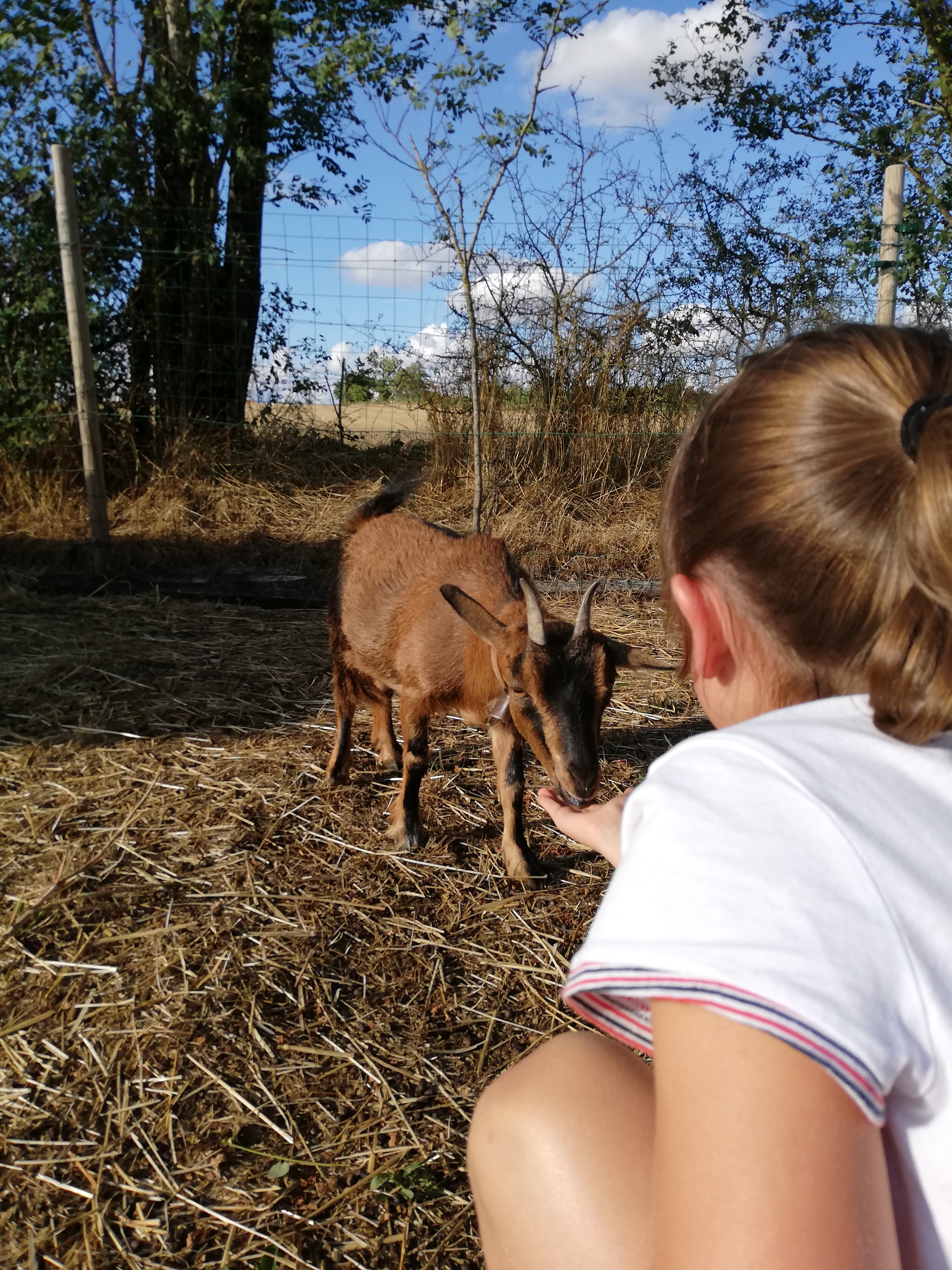 Photo n° 4 de l'avis de Manu.A fait le 19/08/2020 à 16:13
